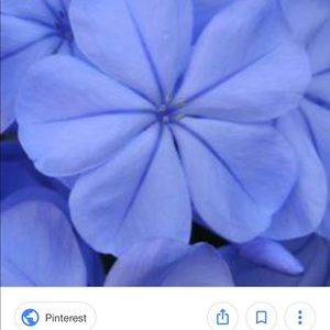 Meet your Posher, Merle